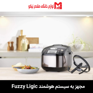 مولتی کوکر تفال مدل RK9018 