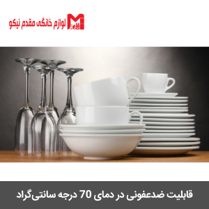 ماشین ظرفشویی پاکشوما کد e51 